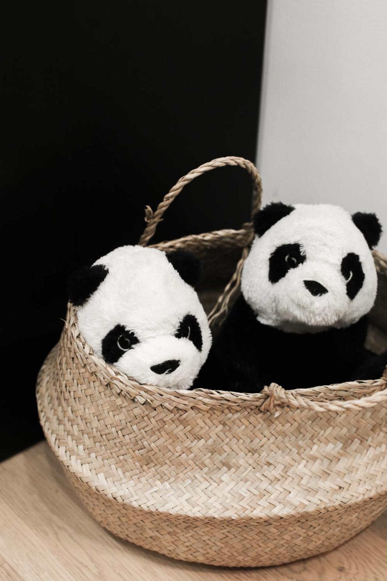 Cozy Design In Piola-citta Studi Appartamento *